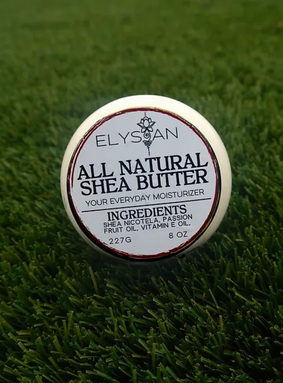 Everyday Shea butter Moisturizer